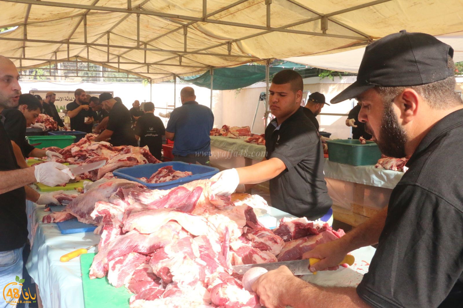 lo7om jam3iya u3 (32).jpg